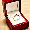 Tiffany model engagement ring in 14k Yellow Gold with Black Diamond i168dn