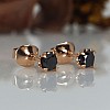 Stud Earrings c1626Dn in Gold with Black Diamonds