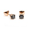 Stud earrings c577dn in gold with black diamonds