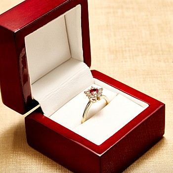 14k Yellow Gold Snowflake Engagement Ring with Ruby and Diamonds i740Rbdi